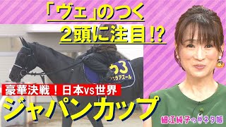 国内外のGⅠ馬が激突！ジャパンカップ『細江純子のネタ帳』