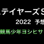 【競馬予想】 ステイヤーズステークス 2022 予想
