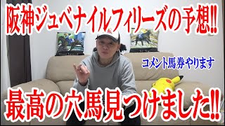 【競馬予想】阪神ジュベナイルフィリーズ2022の予想!!【わさお】