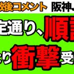 【順調度No.1】阪神JF 2022　調教後コメント比較【競馬予想】