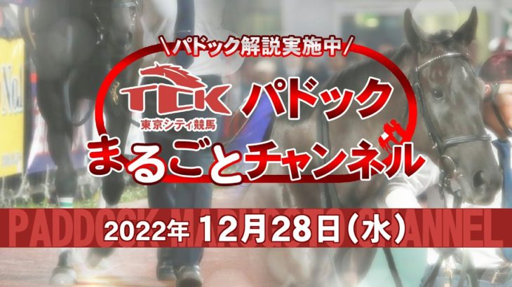 TCKパドックまるごとチャンネル（2022/12/28）