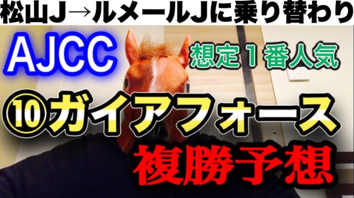 【1/22中山11R AJCC】ガイアフォースの複勝予想【競馬】【複勝】