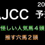 【競馬予想】 AJCC 2023 予想