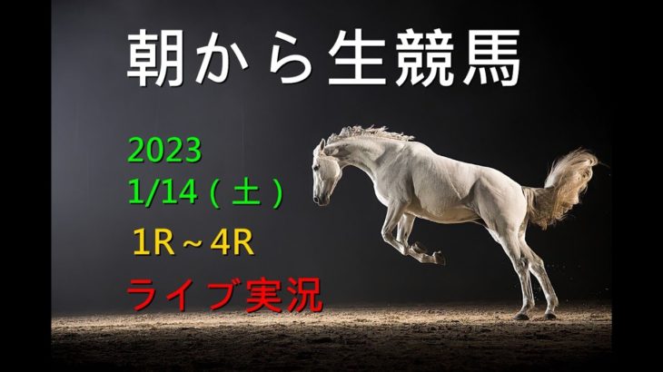 【午後からはサブチャンネルで配信します】 朝から生競馬　ライブ配信　（小倉→中京→中山）Horse Racing Commentary