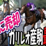 【競馬ファン歓喜】ガリレオ産駒で最も強い馬が日本に売却