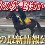 【馬主】愛馬オマタセシマシタ2勝目へ向け、次走＆最新映像を公開！