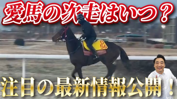【馬主】愛馬オマタセシマシタ2勝目へ向け、次走＆最新映像を公開！