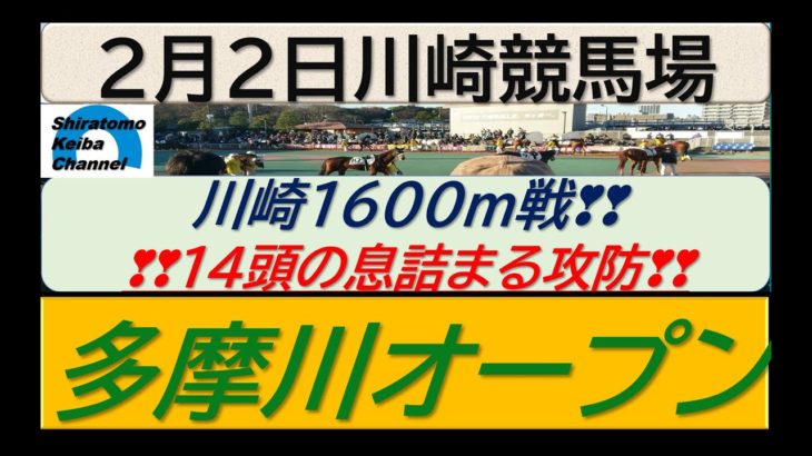 【競馬予想】多摩川オープン　大師オープン組が圧巻するか！～2023年2月2日 川崎競馬場 ：2―2
