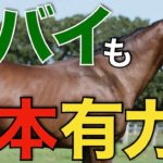 【独占ある】ドバイでも日本馬が1番人気！サウジに続く快挙なるか。