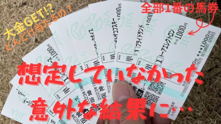 【検証】阪神の全12レースで1番のみを買ったらどんだけ儲かるの？