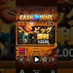 2023年4月17日 オンラインカジノ casino Cash MineSkywind