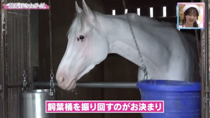 【超かわいい】ソダシのプライベート映像を大公開！｜競馬好き女子会 ＃3 白い馬