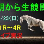 【中央競馬】朝から生競馬　ライブ配信　（福島→京都→東京）Horse Racing Commentary
