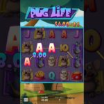 Pug Life Hacksaw Gaming オンラインカジノ casino 赌场