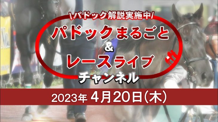 TCKパドックまるごと＆レースライブチャンネル（2023/4/20）