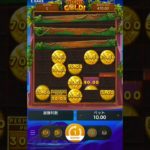 Yo-Ho Gold!3 Oaks Gamingオンラインカジノ casino 赌场