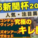 京都新聞杯2023 予想　キレ勝負を制し、ダービーへの切符を手にするのはこの馬だ！東大生の人気馬・注目馬分析