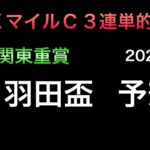 【競馬予想】 南関東重賞　羽田盃  2023  予想